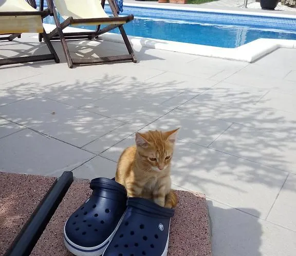 Roza Апартаменты *